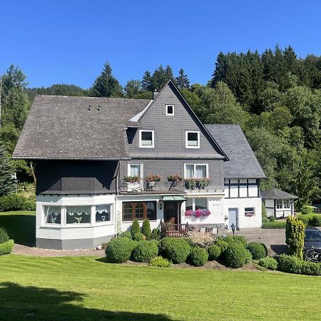 Haus Schmitten Winterberg Bagian luar foto