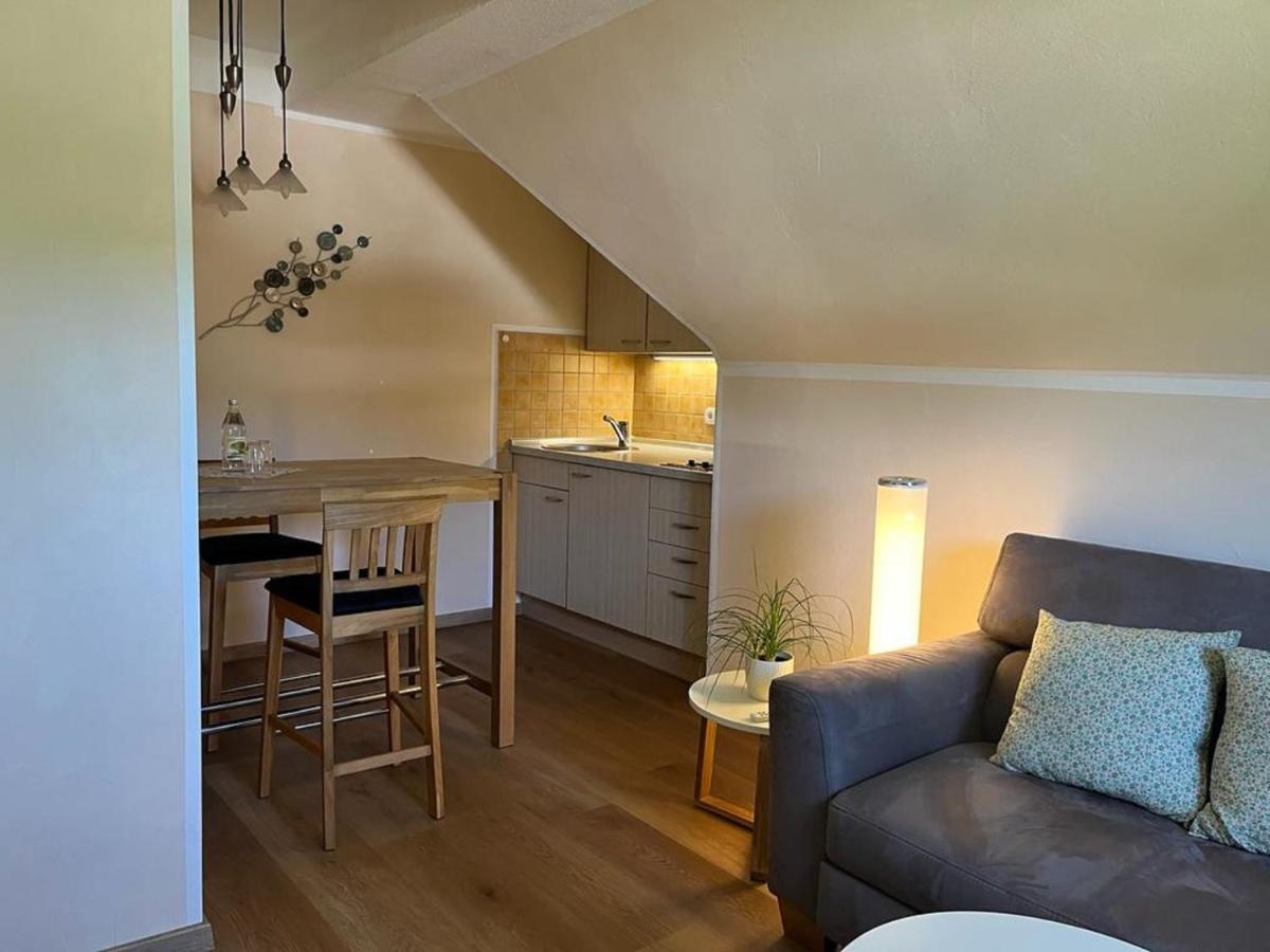 Haus Schmitten Winterberg Bagian luar foto