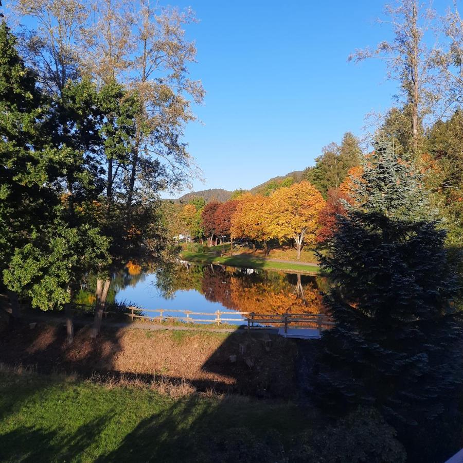 Haus Schmitten Winterberg Bagian luar foto